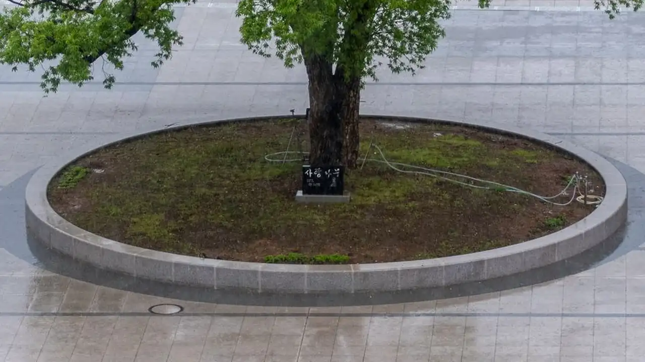 直播蜜桃怎么操作和选品