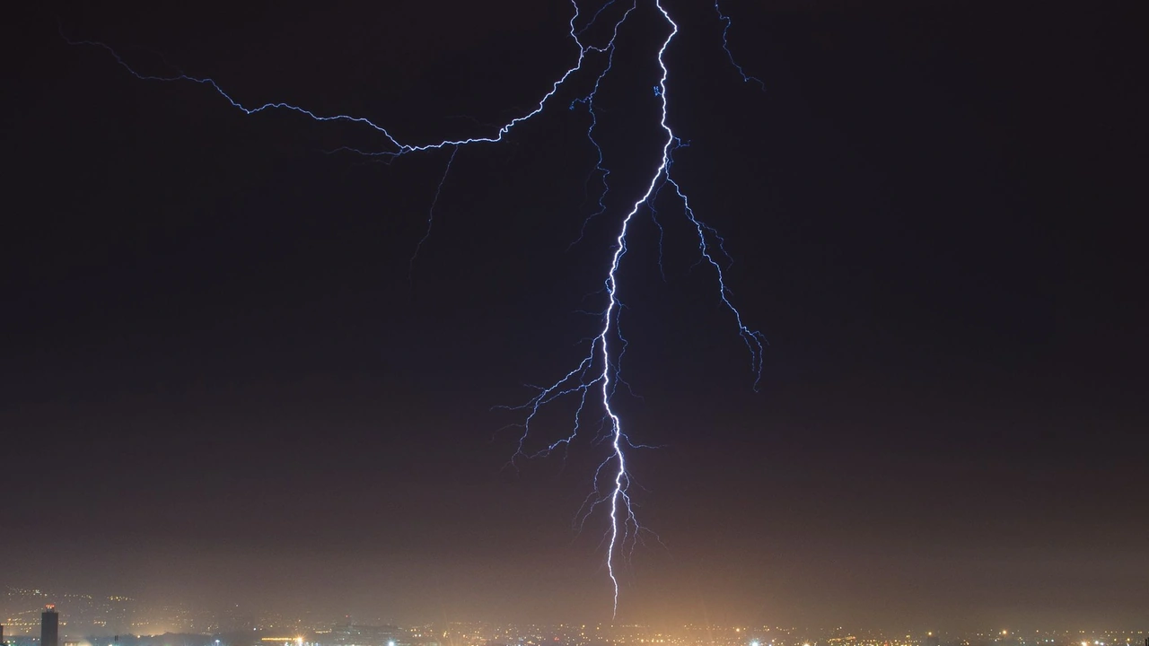 丁勇羽头像