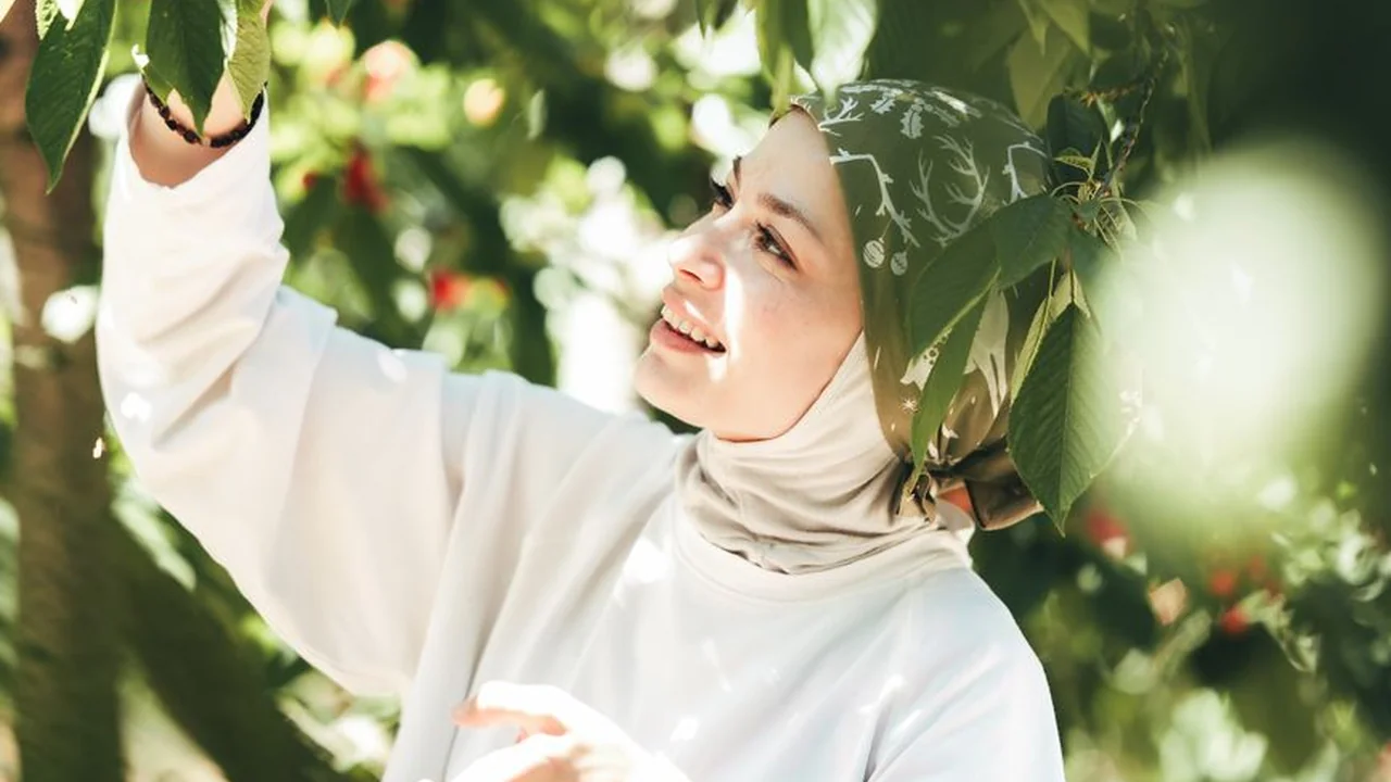 破解版糖心应用功能解析与使用风险排查